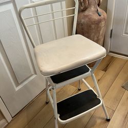 Multipurpose  Step Stool
