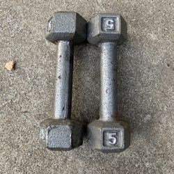 5 Lbs Hex Dumbbells
