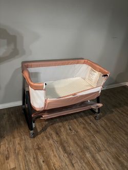 Pink Bassinet