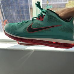 LeBron 9 Low