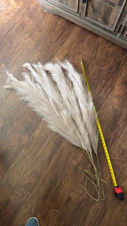 Dried Pampas Grass Stems Bundle