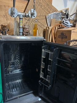 2 spout kegerator