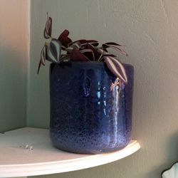 Ceramic Pot And Faux Plant Combo 