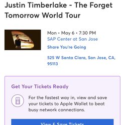 Justin Timberlake concert
