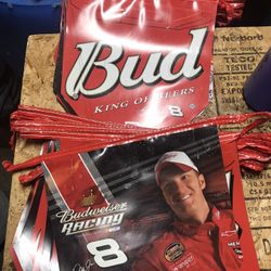 Dale Earnhardt Jr Banners