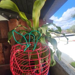 Apple Shape Metal Decorative Plant Container.