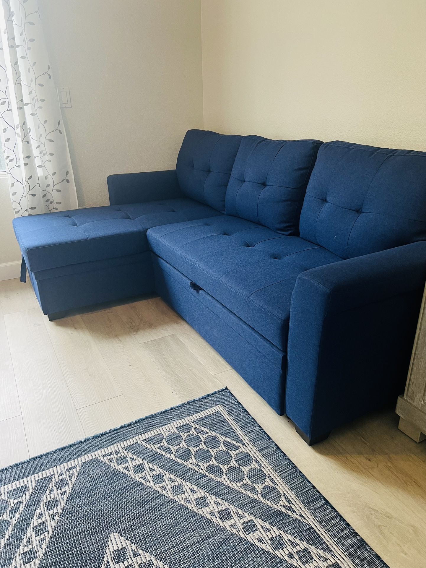 Couch W/ Pull Out Bed 