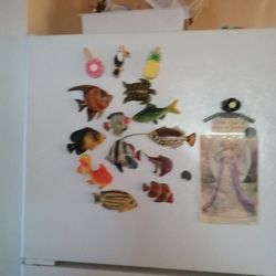 11Piece  Resin  Fish Magnets.. + 3 Cloese Pin Magnets