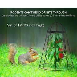 Garden Cloches for Plants - New