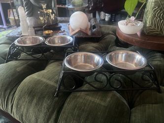 2 cat trays