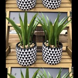 Farmhouse Home Decoration 13” Tall Black White Triangle Design Ceramic Potted Plants Set Of 2