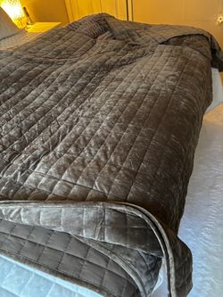 Velvet Quilted Quilt 3 Piece Set