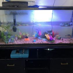 55 Gallon Fish Tank With Stand 