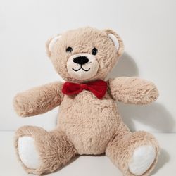 Valentine's Day Edi Teddy Bear Stuffed Plush Doll Toy 