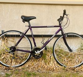 Trek multitrack 700 hybrid Bike , Cromoly material frame size 21”, Rim size 700c, fit riders over 5’6” in height