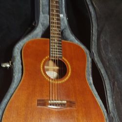 Vintage Collectors Acoustic Guitar And Poodle Case - Fender DG-24