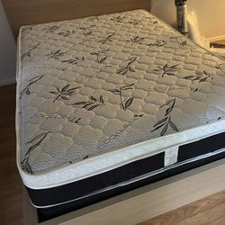 New Queen Mattress And Box Spring
