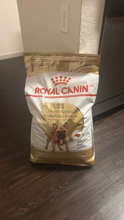 Royal Canon French Bulldog
