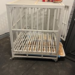 Steel Doggy Cage