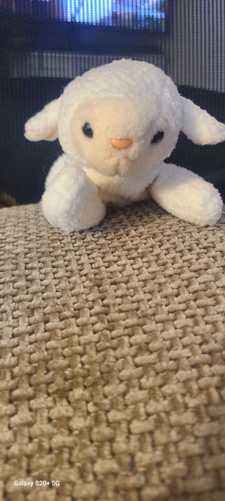 Ty Beanie Baby