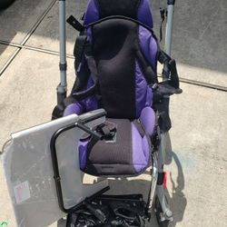 Special needs stroller