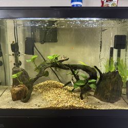 30 Gallon Aquarium 