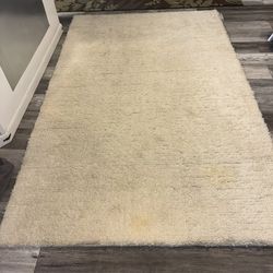 Pottery Barn 100% Wool Handmade Area Rug 5X7 By Dalton