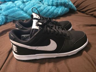 Nike dunks