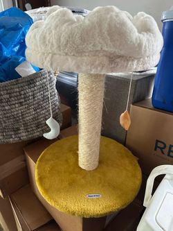 Cat scratcher