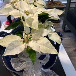 Last Moment Christmas Gift