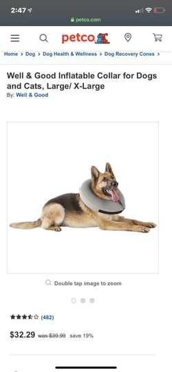 Inflatable Dog collar