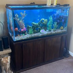 100 Gallon Fish Tank