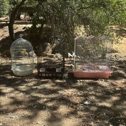  Birdcages