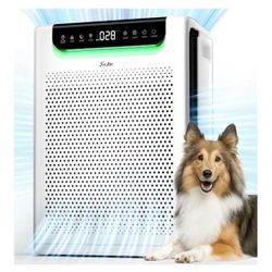 Air Purifiers for Home Large Room, Cover Up to 2600 Ft²(new)