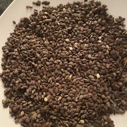 30 Organic passion fruit seed semillas