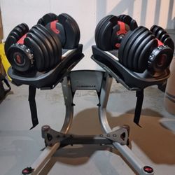 Bowflex Adjustable (552) Wt. set + Stand