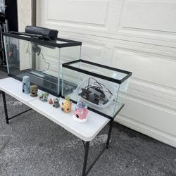 2 Fish tanks 30 Gallons And 20 Gallons