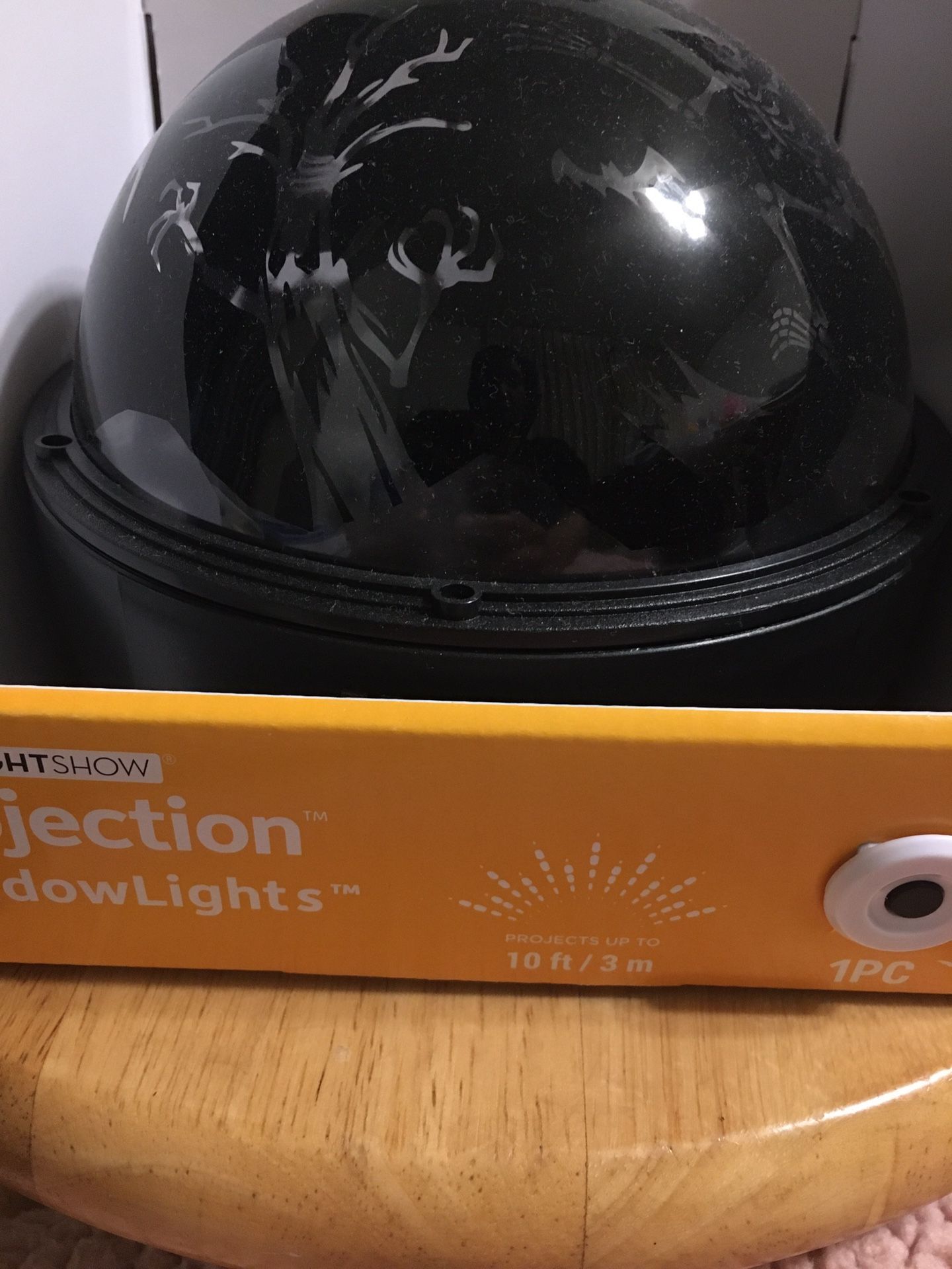 Halloween LED Light Show Projection 10FT