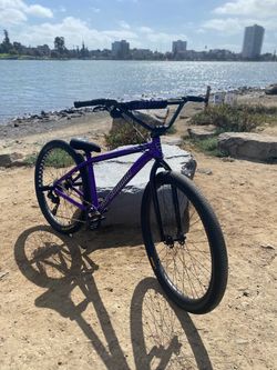 PURPLE OW