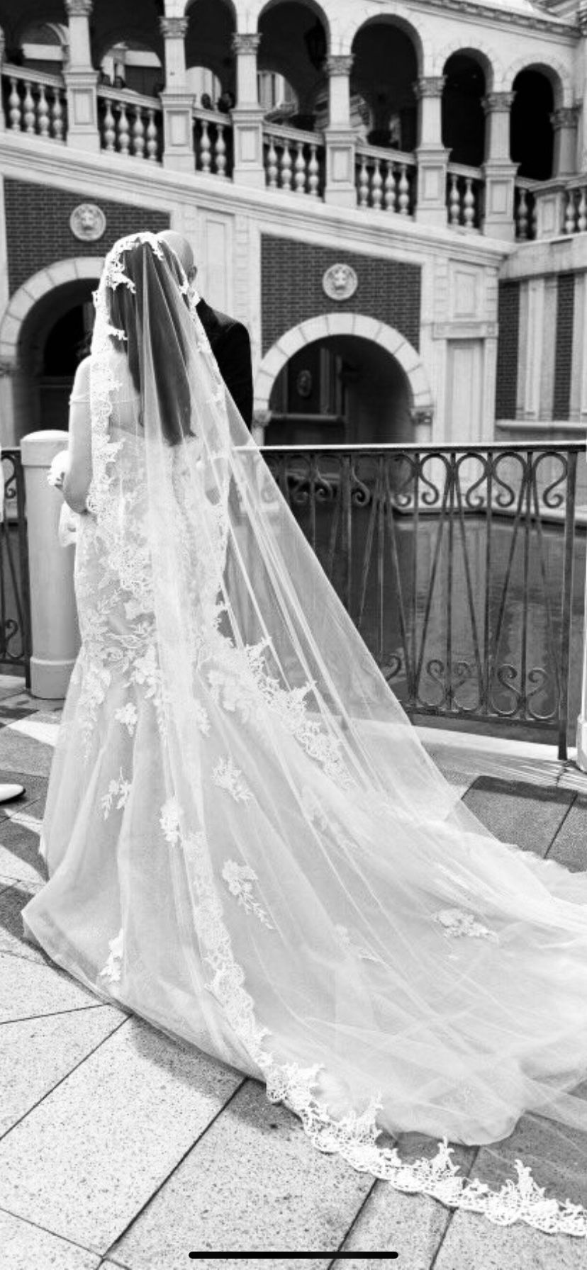 Lace Applique Mermaid Strapless Wedding Dress size 12 w/Long Cathedral Veil - $200 (Henderson)