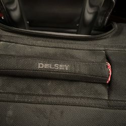 Delsey Suit Case 