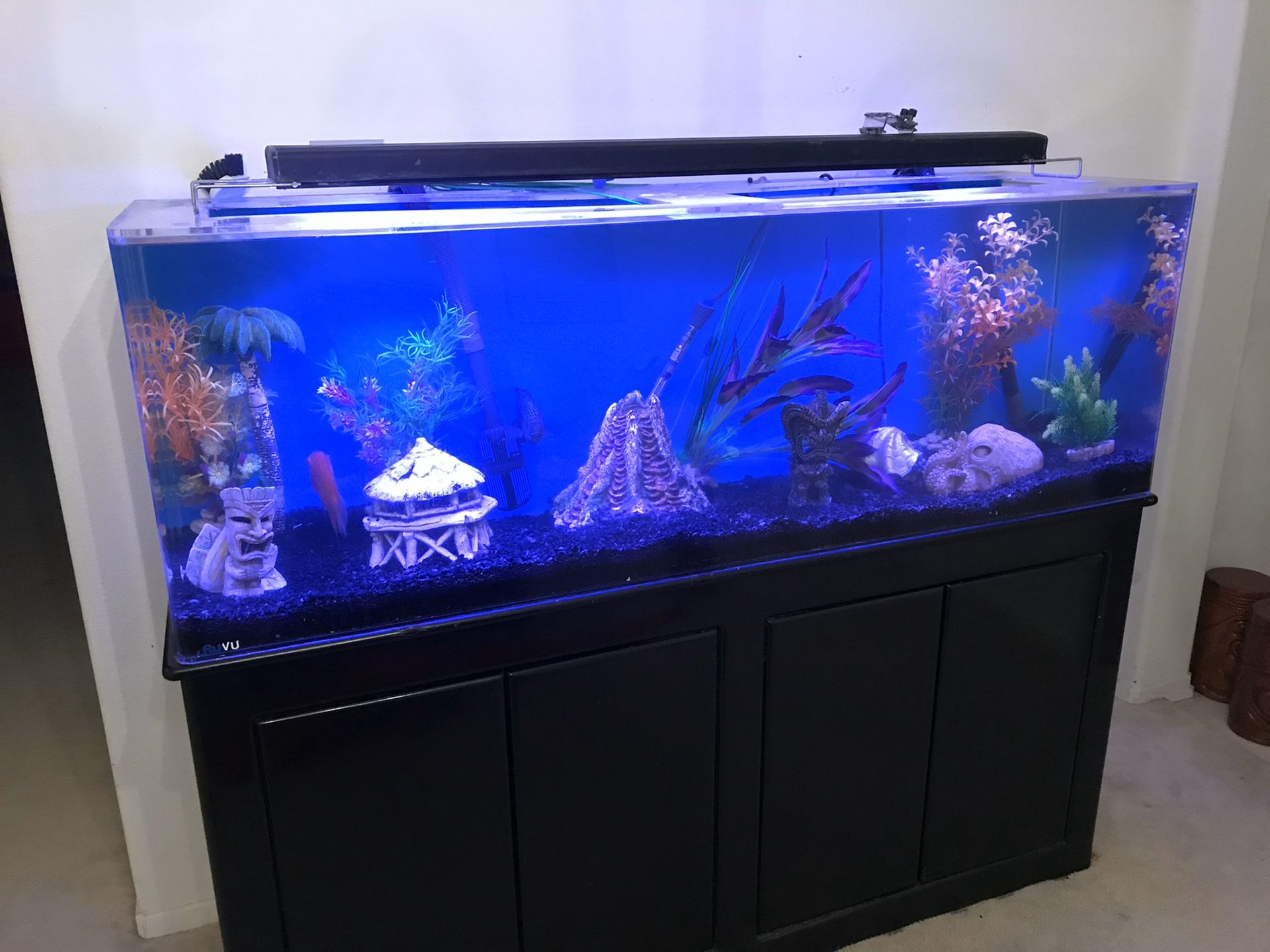 100 gallon acrylic aquarium full set up with stand for Sale in Riverside, CA OfferUp