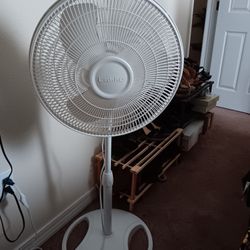 Fan