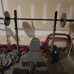 300 lb Olympic Weight Set