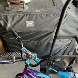 Expert Grill Griddle