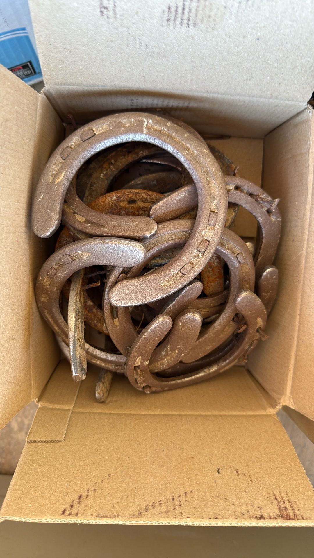 Unlimited Used Horse Shoes