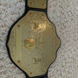 WWE championship Belt
