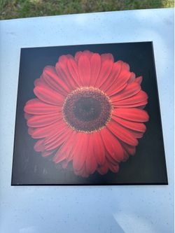 Red daisy wall plaque