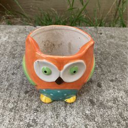 Owl Face Outdoor indoor plant Holder 