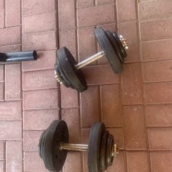 Gym Equipment 